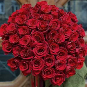 05dc78ae 0dda 11ef bd60 5a4537b6a0b8 903 1