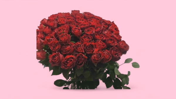 67039543cde99478ac85680e