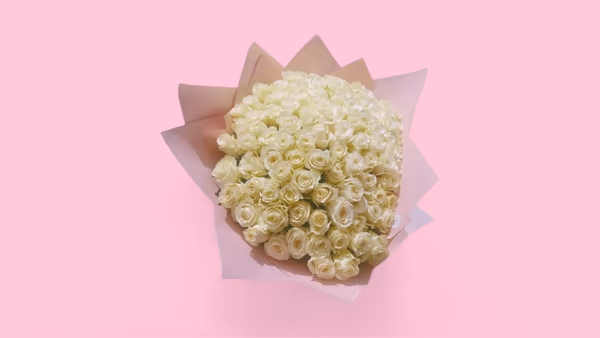 Home 67039543cde99478ac85680f