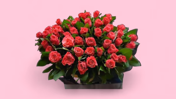 Home 67039543cde99478ac856810