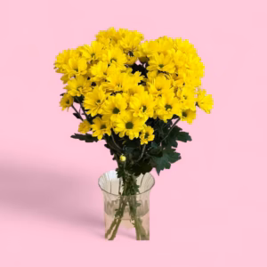 670395645b3ac675624b04fe