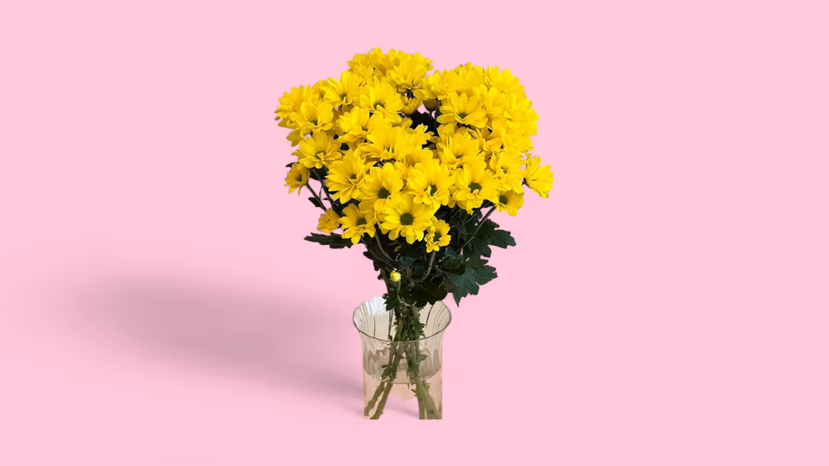 670395645b3ac675624b04fe