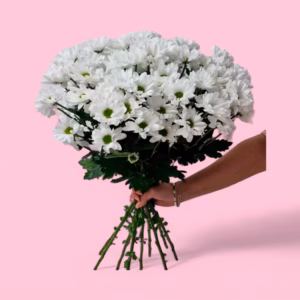 670395645b3ac675624b0500 (1)