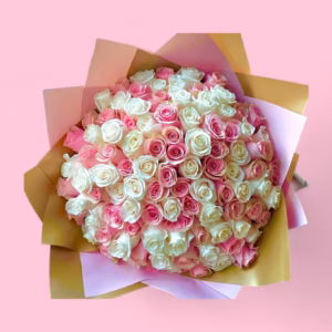 67039c85bbf20e0e6acfec20