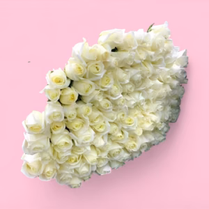 67039c85bbf20e0e6acfec25