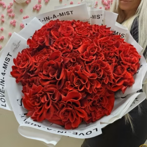 6720a691e667bf2c4b03f26a