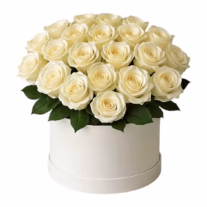 6884c3a7494117b965c01b8b