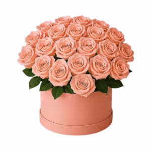 688713850a5bea5e99dcfacc