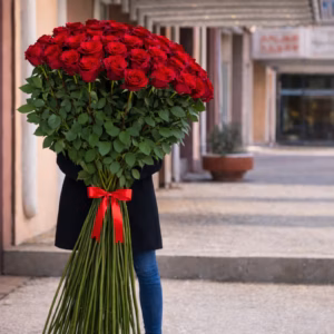 6950f5b923b40dc5d0456616