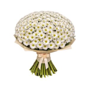 695286e05d2b0d2b718756f7