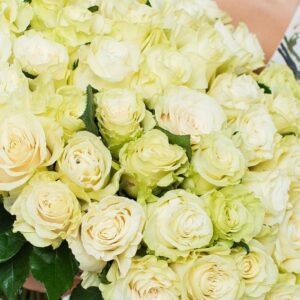 271526959 1297048104039069 3311673531056910035 n.jpg