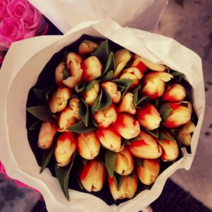 335651661 538254441785336 6318318706410785959 n.jpg