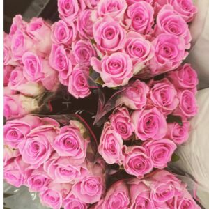 335776179 1460113064395786 5759739322658255980 n.jpg