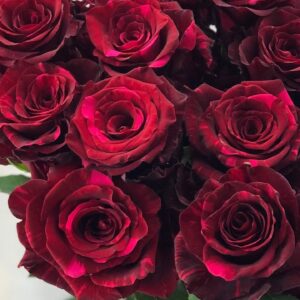 335888600 612723244055520 5846070141164648565 n.jpg