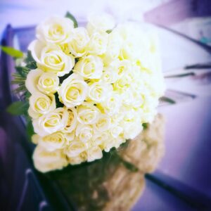 343426031 786067576082435 1157752213280505186 n.jpg