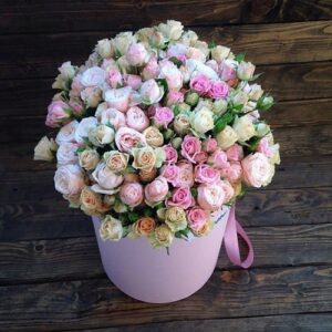 45269219 2218034258518753 2023450142456326790 n.jpg