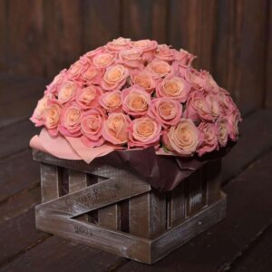 45521178 296431574412592 3774882566709126745 n.jpg