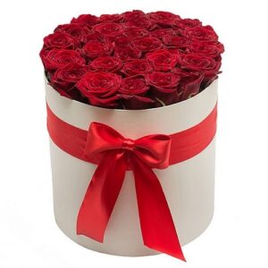 46083584 2188842098041618 4340214345874412408 n.jpg