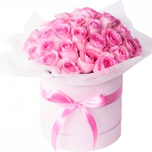 46117274 150680742567404 509511450375401194 n.jpg