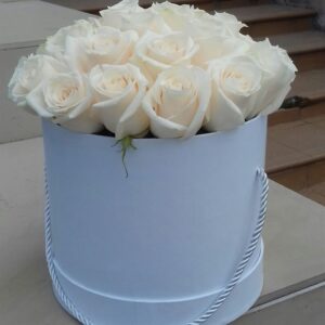 46141202 486973698478297 8608766678628237653 n.jpg