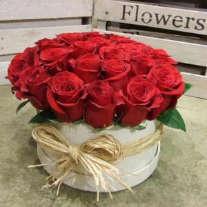 46259572 717475675305407 6420660393186374177 n.jpg