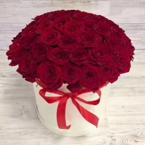 46423163 322184211712356 689916837631038262 n.jpg