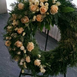 469156506 433968696433609 53485895196007028 n