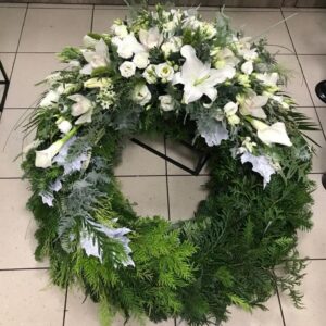 469209744 433968933100252 8977234186923897791 n