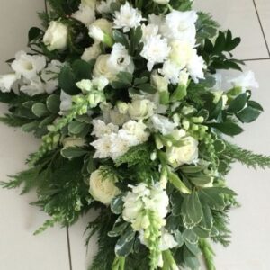 469213343 433969049766907 2478955958629378864 n