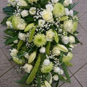 469235808 433969039766908 5968339221641124175 n