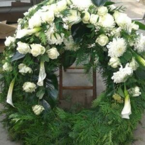 469261390 433968843100261 1187102570437936946 n