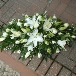 469310868 433968796433599 7565211741011445121 n