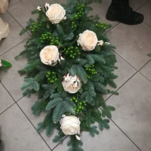 469316619 433969083100237 3252307012776926475 n