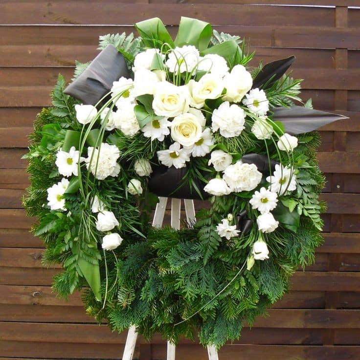 469330118 433969056433573 1934475437991844137 n 469330118 433969056433573 1934475437991844137 n