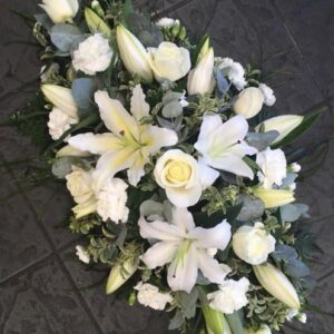 469362739 433968836433595 9147391146976077258 n