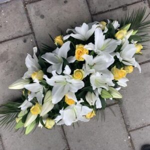 469403963 433968763100269 1826266802557732595 n