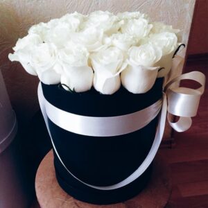 46956008 567865186993419 7316660268379525442 n.jpg