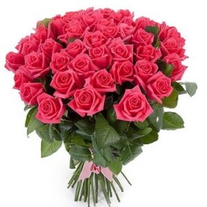 47095601 297724050870622 4670153094310965281 n.jpg