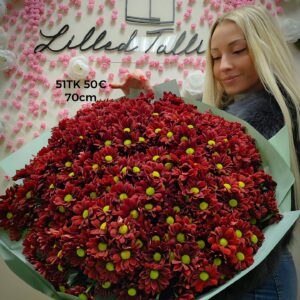 486057094 1071639818321252 7727813147751992999 n