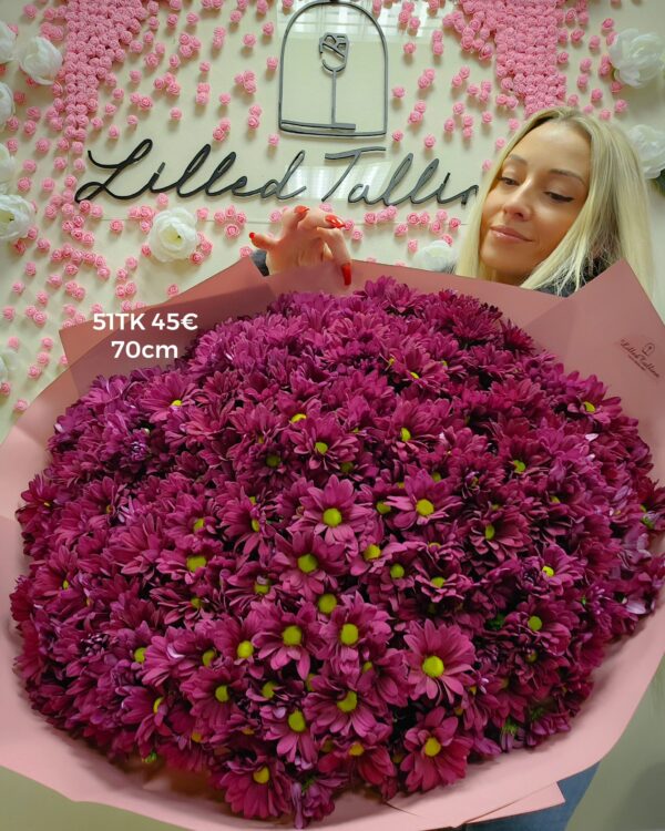 Home 486531490 1071639854987915 9165304537657086470 n