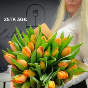 486593778 1071924951626072 6271002391480913574 n