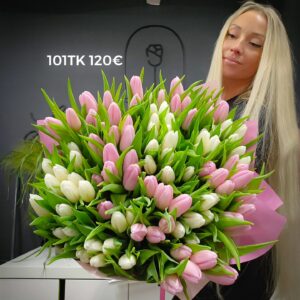 487072399 1072356348249599 9198538941507304875 n