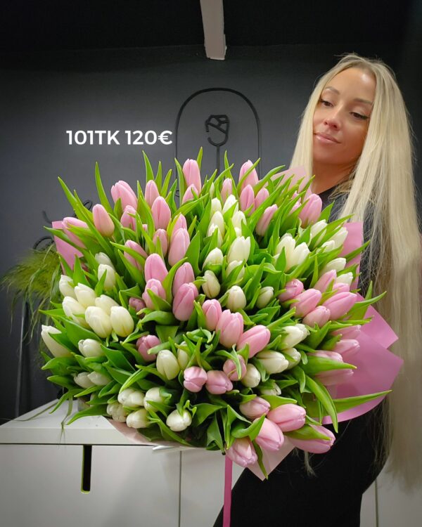 Home 487072399 1072356348249599 9198538941507304875 n