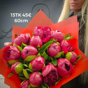 498114815 1111032461048654 2839158736358532184 n