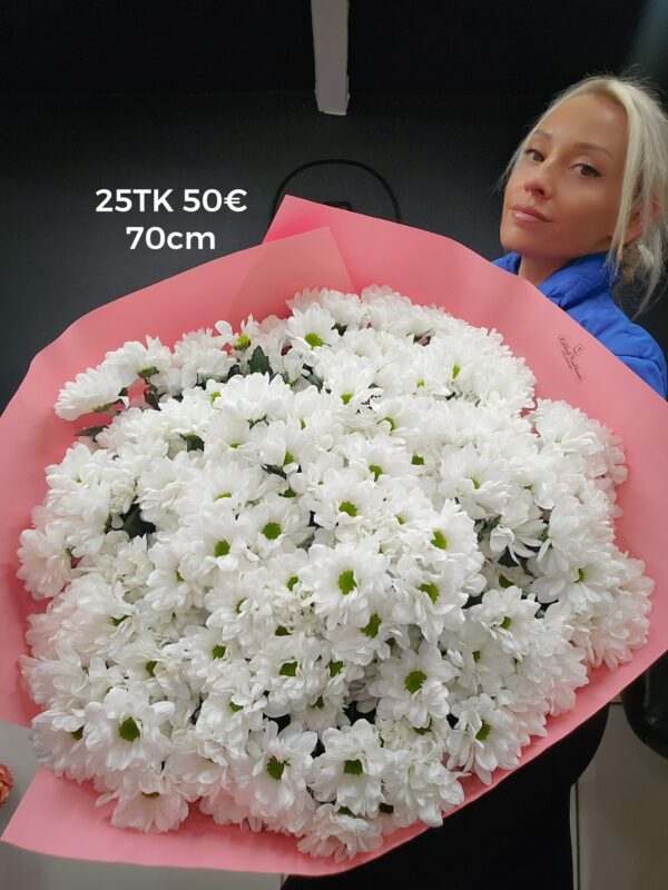 Home 555928318 1220133086805257 4909550932316884612 n