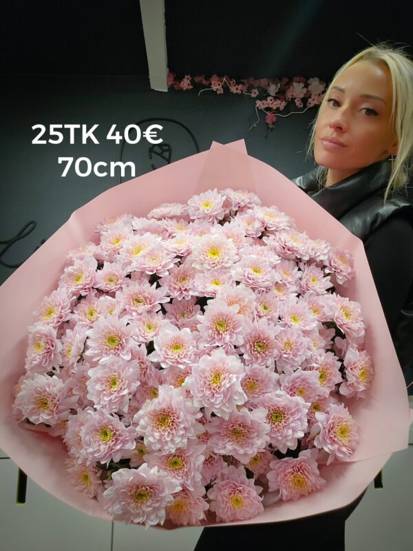 Home 560202313 1233323532152879 4740361913166258234 n