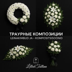 568269803 672844032546073 233500979877417887 n