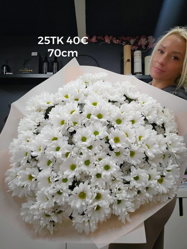 Home 577748360 1257534589731773 8260631079270516102 n