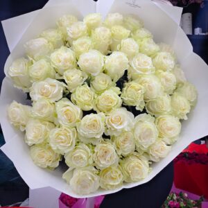 608535354 18209817646314774 2596812285309199710 n 1.jpg