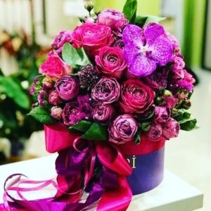 66223744 122908825664183 3446375312540462188 n.jpg